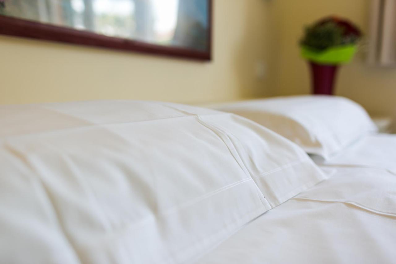 Aparthotel Rex 3*